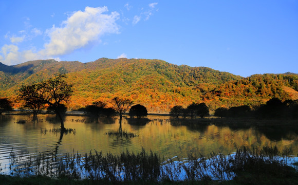 神龙架大九湖 山水景区 金秋