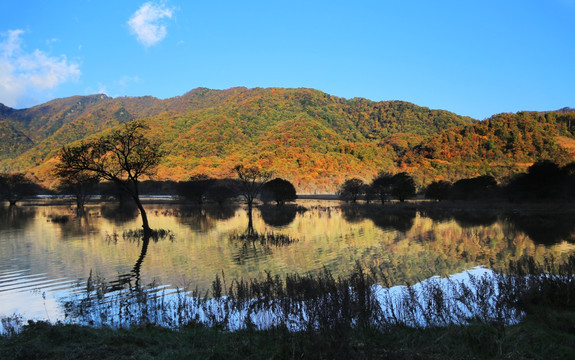 神龙架大九湖 山水景区 金秋