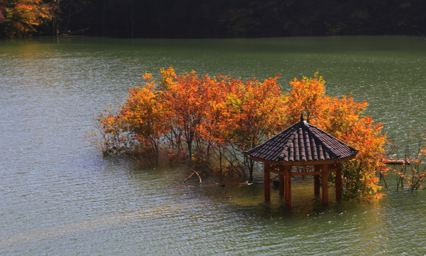 神龙架大九湖 山水景区 金秋