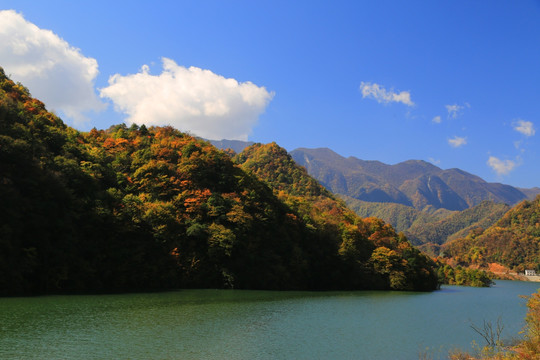 大九湖 山水景区 金秋 红叶