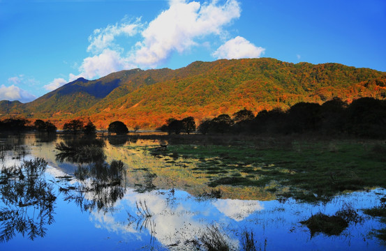 大九湖 山水景区 金秋 红叶