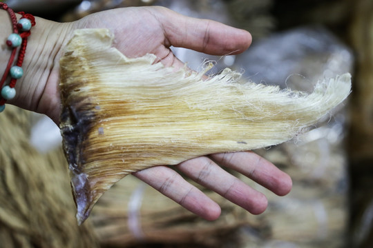 山珍海味