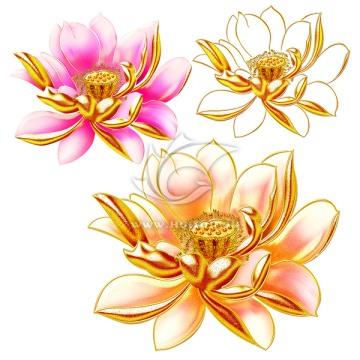 手繪3d立體金鑲玉荷花素材