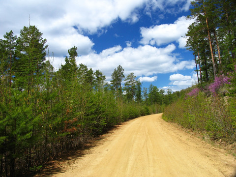 山路