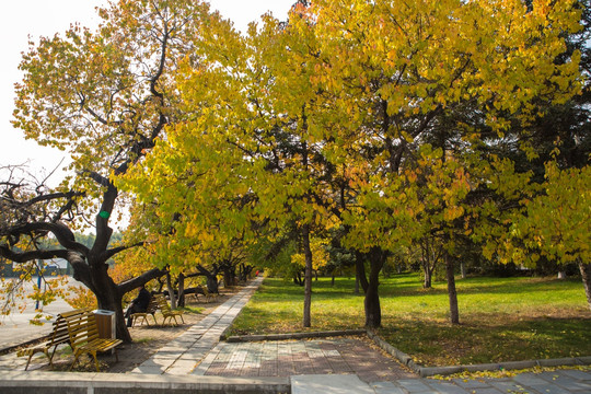 鸡西大学校园