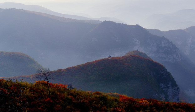 秋色 红叶 太行山 南太行 山