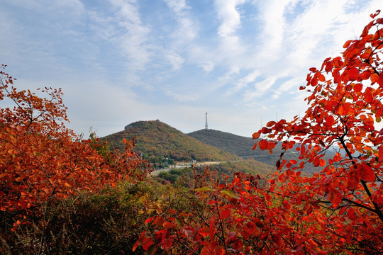 秋色 红叶 太行山 南太行 山