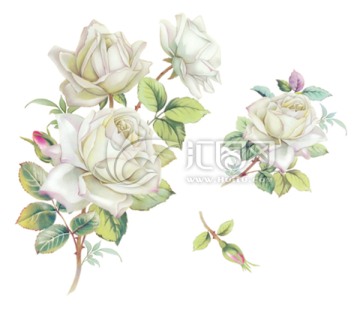白花