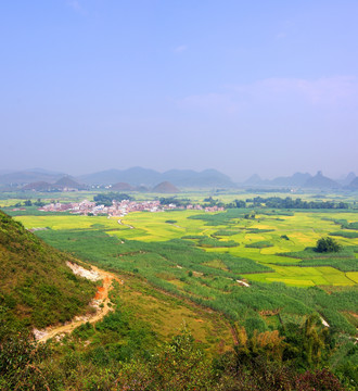 农村风景