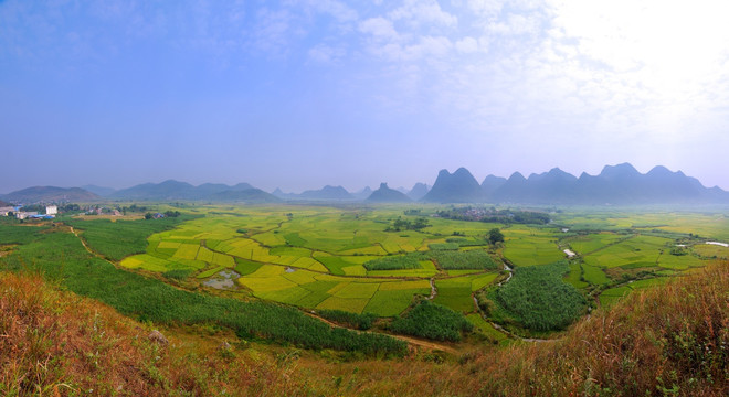 稻田 风景