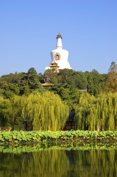 北海美景