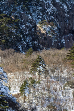 安徽黄山雪景