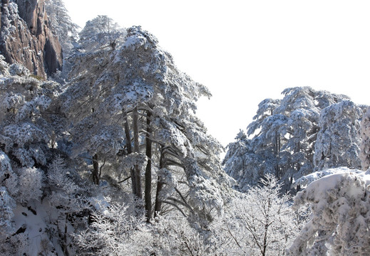 安徽黄山雪景