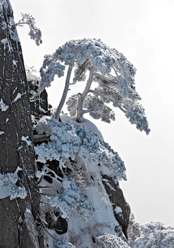 安徽黃山雪景