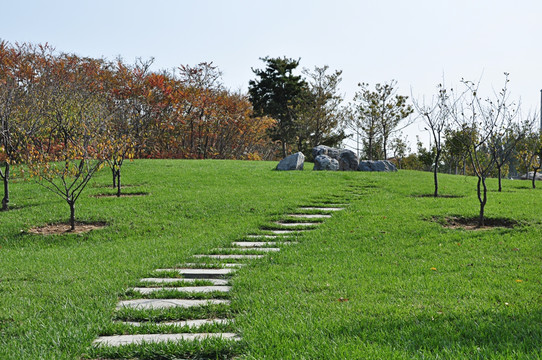 公园 园林 景观 小景