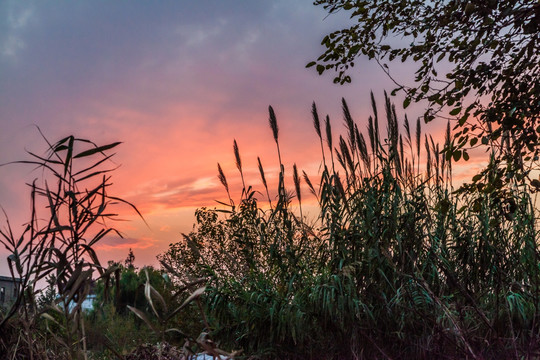 夕阳背景