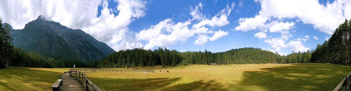 丽江玉龙雪山云杉坪高原草场全景