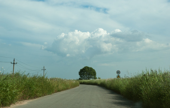 湿地公园的道路