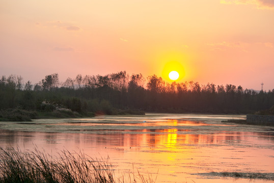 夕阳沂河