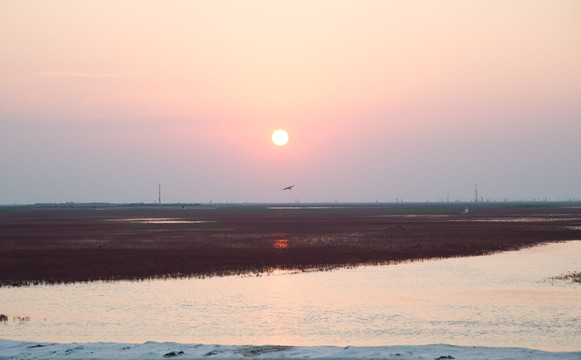 入海口湿地夕阳