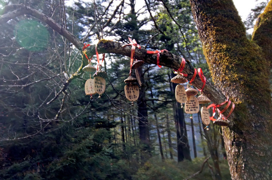 丽江玉龙雪山云杉坪许愿布农铃