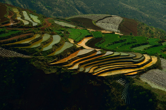 东川红土地