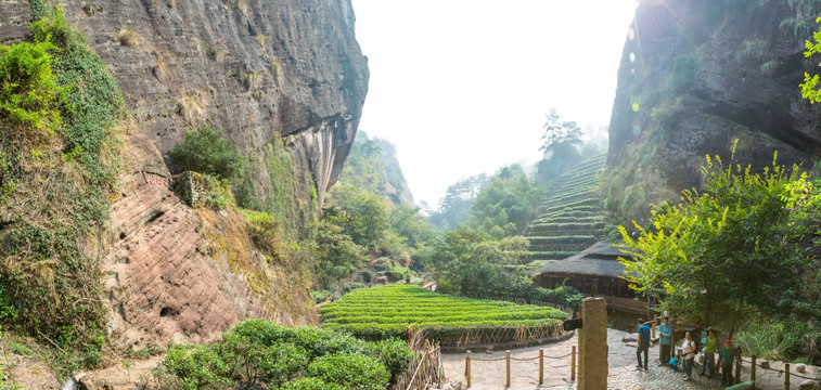 武夷山大红袍景区全景图