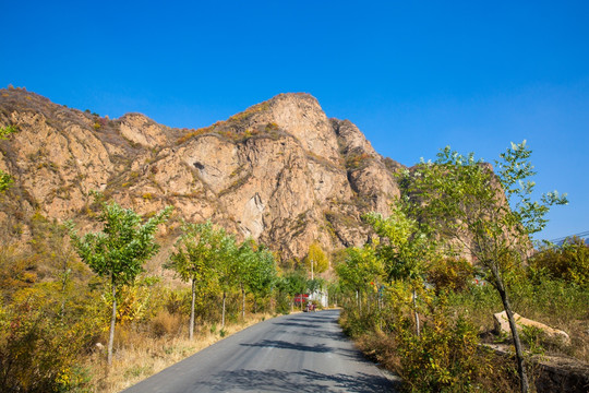 山路 花园村