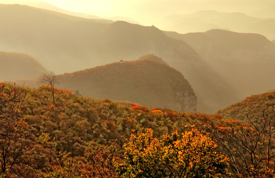 秋色 红叶 太行山 南太行 山