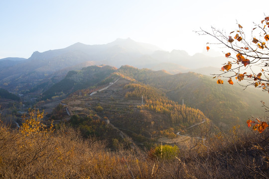 长城烽火台 密云花园村