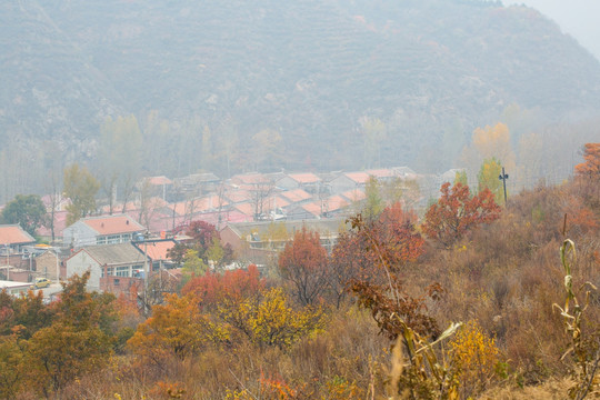 秋染山村