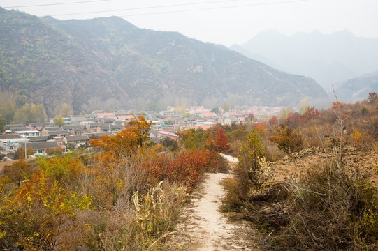 秋日山村