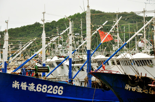 蓝 白色 渔船 沈家门 渔港