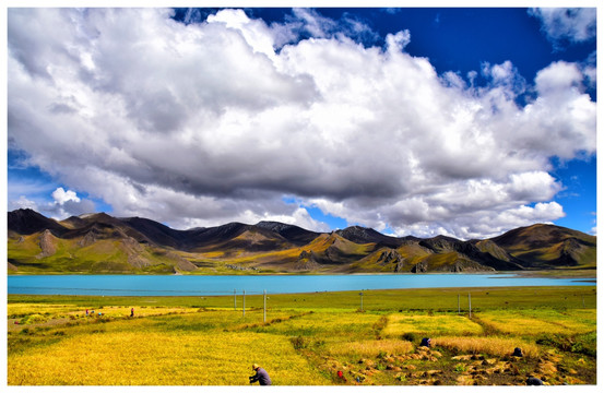 西藏秋季羊湖