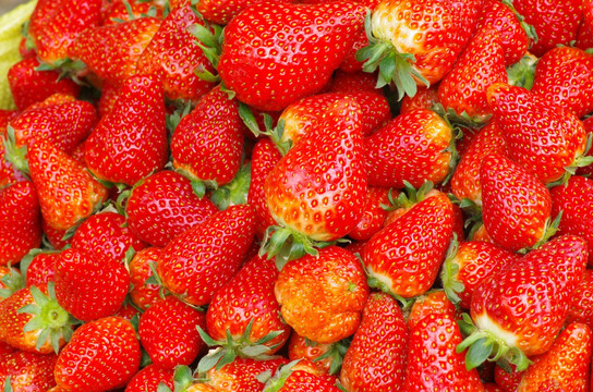 很多的草莓