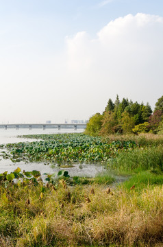 武汉严西湖风光