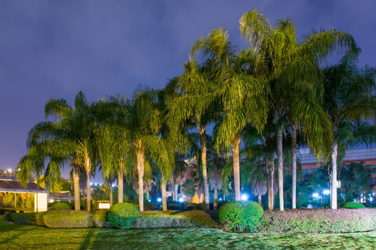 园林景观夜景