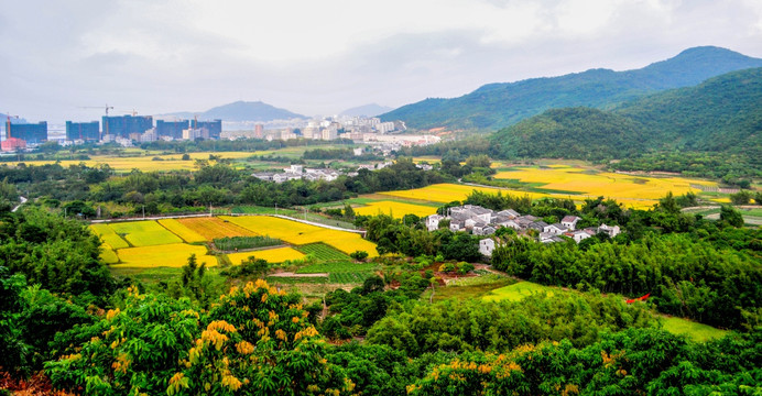 金色田园 秋意正浓 收获季节