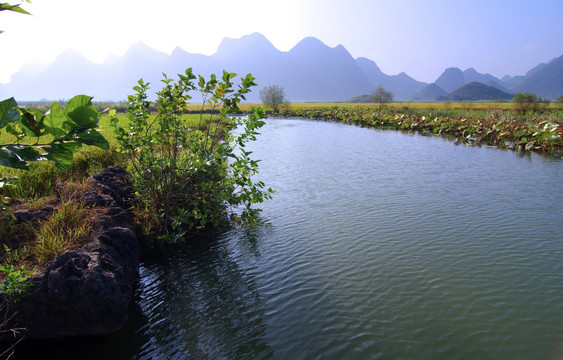 自然风景