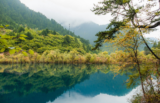 九寨沟山水倒影秋色 卧龙海