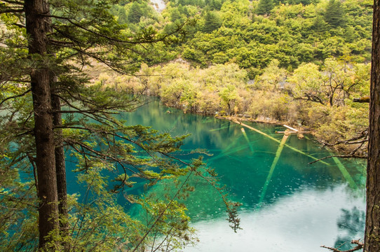 九寨沟醉人的风格 卧龙海