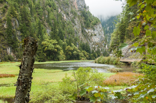 九寨沟旅游山水景观 天鹅海