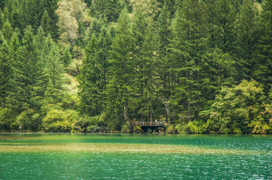 九寨山林湖泊美景 老虎海