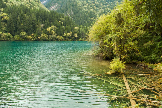 九寨秋色山林水景 老虎海