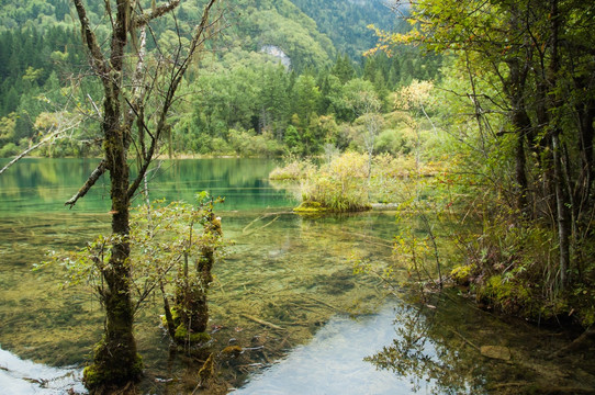 九寨沟山林湖泊秋色 卧龙海