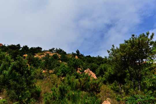 山间原野