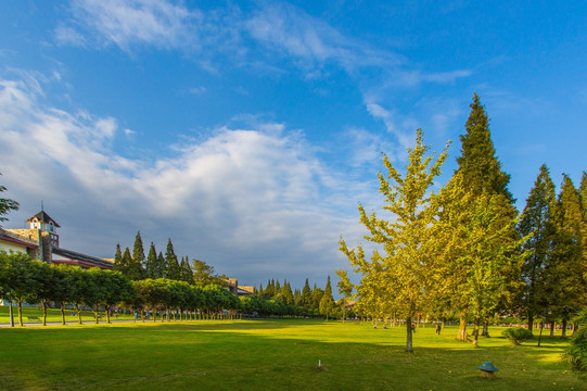 东软学院