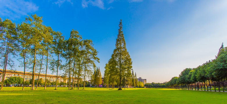 东软学院