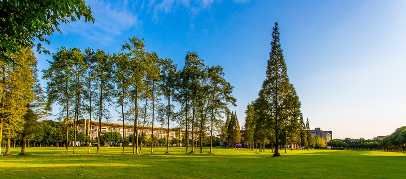 东软学院