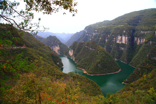 峡谷 江河 金秋 红叶 森林